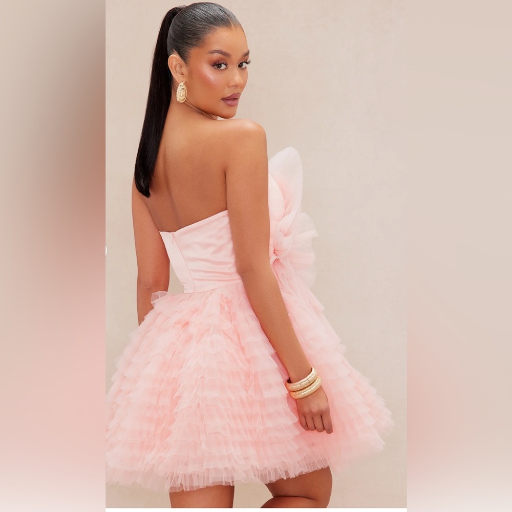 Pink Ruffled Tull Dress - Picture 4 of 5